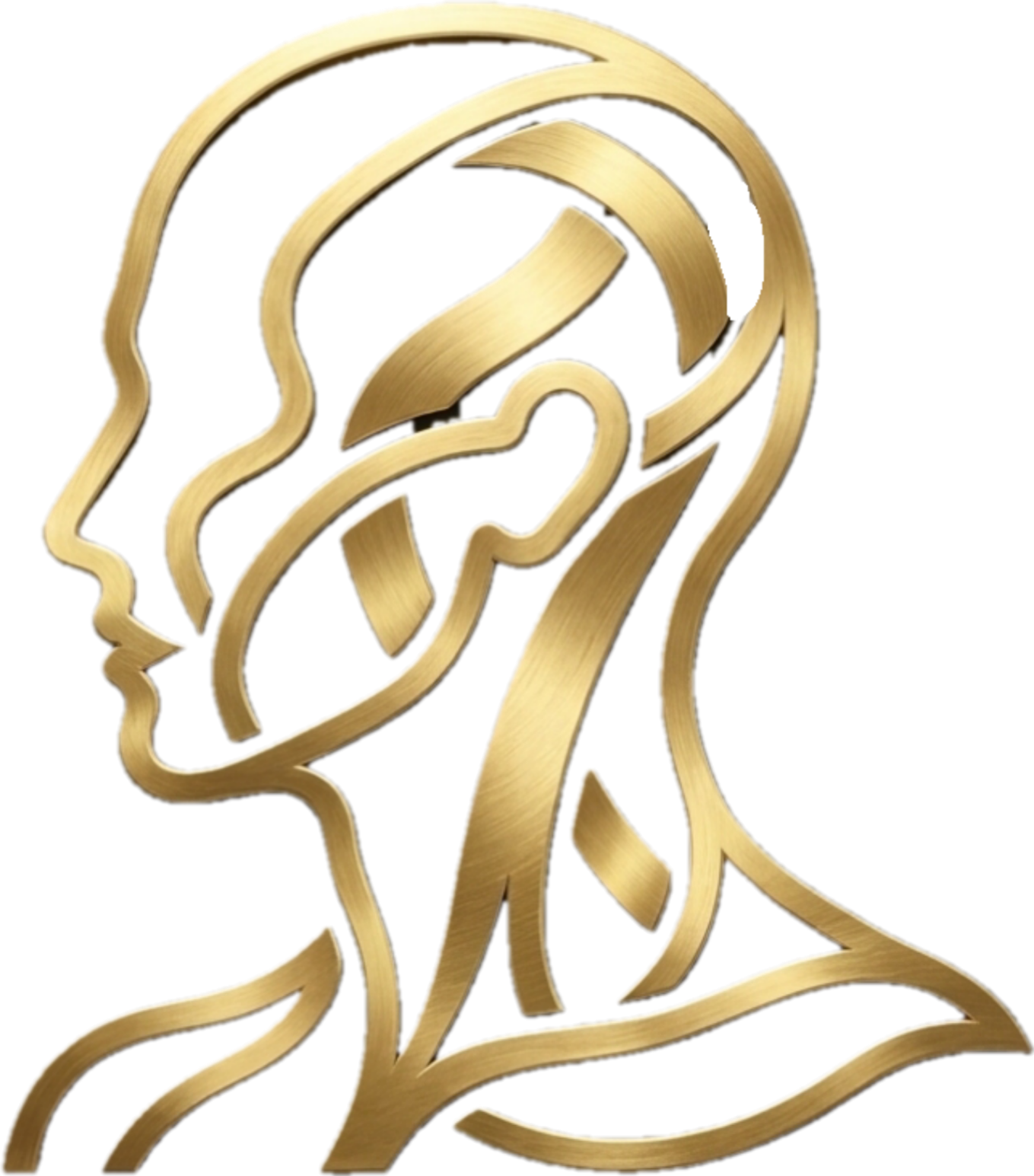 Nexus Anatomica Logo